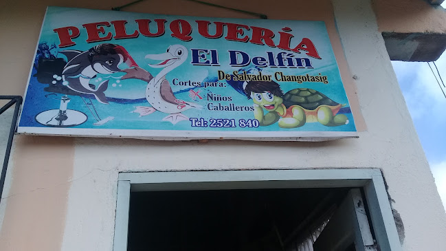 Opiniones de Peluqueria "El Delfin" en Baquerizo Moreno - Peluquería