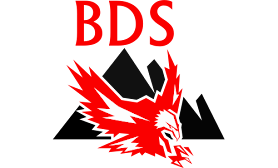 BDS Badische Detektei und Sicherheitsdienst Mohamed Abdalla