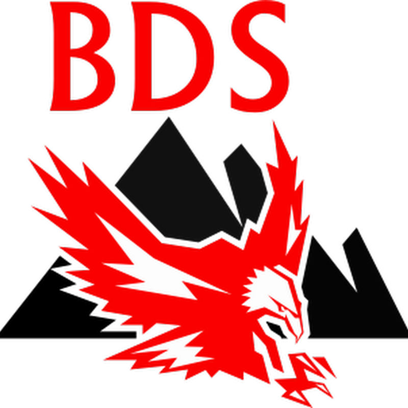 BDS Badische Detektei und Sicherheitsdienst Mohamed Abdalla