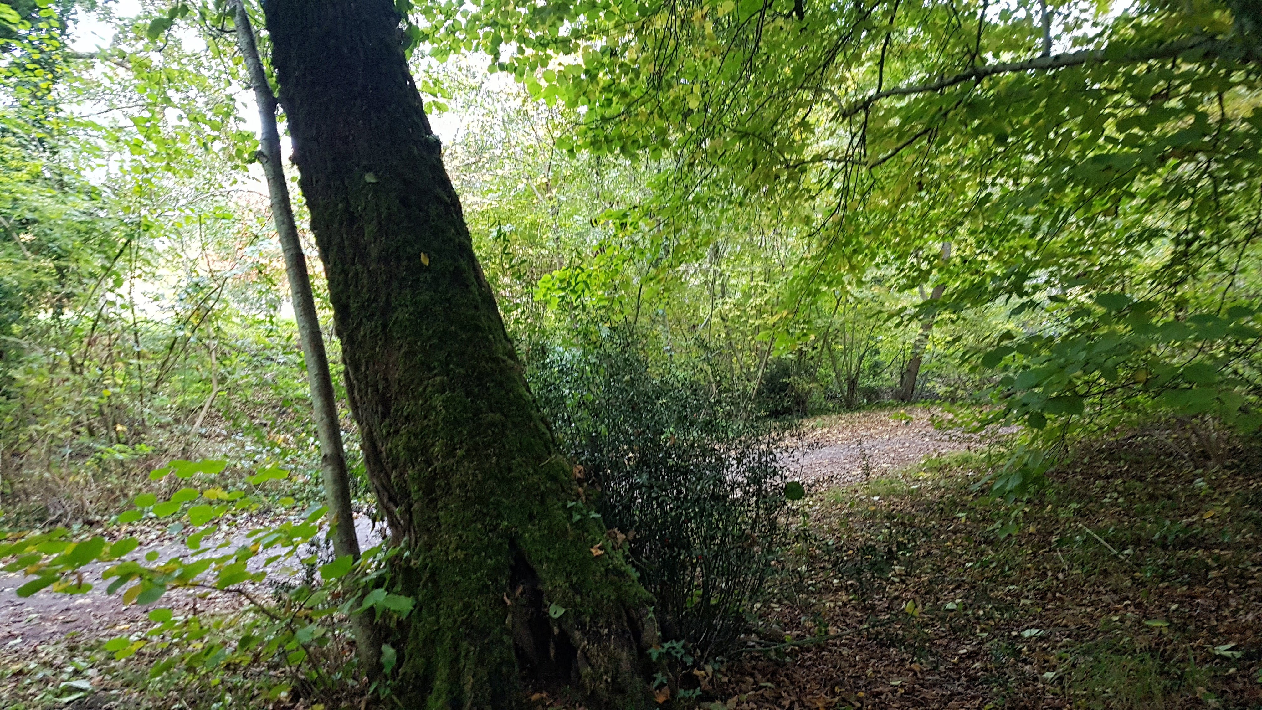 Photo n° 6 de l'avis de Joanna.A fait le 29/12/2021 à 13:09