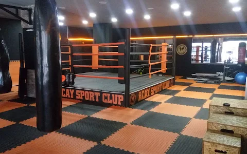 ACAY SPORT CLUB image