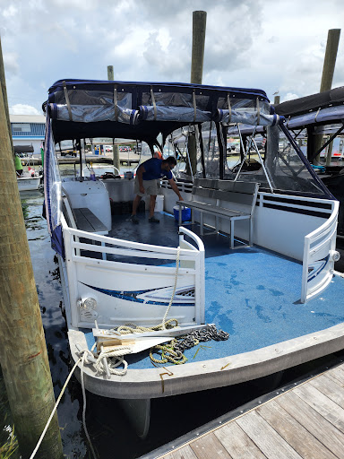 Tourist Attraction «Fun 2 Dive - Swim with Manatees», reviews and photos, 135 NE 3rd St, Crystal River, FL 34429, USA