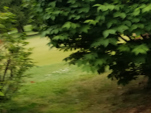 Golf Club «Indian Run Golf Club», reviews and photos, 6359 Rs Ave E, Scotts, MI 49088, USA