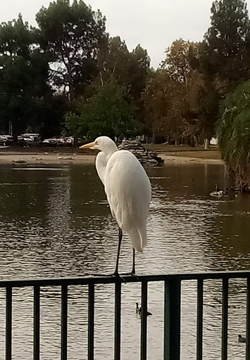 Golf Course «El Dorado Park Golf Course», reviews and photos, 2400 N Studebaker Rd, Long Beach, CA 90815, USA