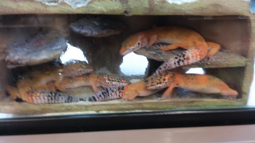 Pet Supply Store «Petco Animal Supplies», reviews and photos, 18578 Coastal Hwy #12, Rehoboth Beach, DE 19971, USA