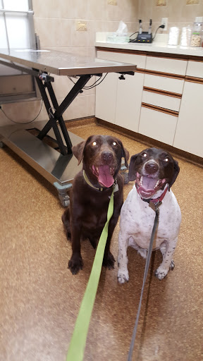 Kuenzi Family Pet Hospital image