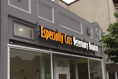 Especially Cats Veterinary Hospital, A Thrive Pet Healthcare Partner