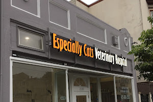 Especially Cats Veterinary Hospital, A Thrive Pet Healthcare Partner