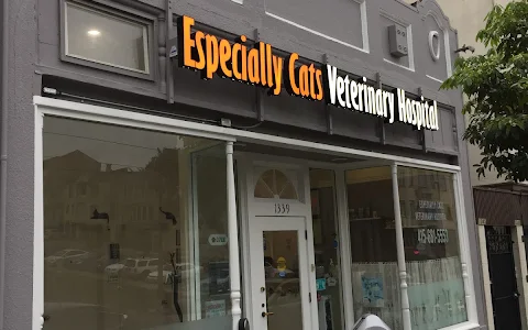 Especially Cats Veterinary Hospital image