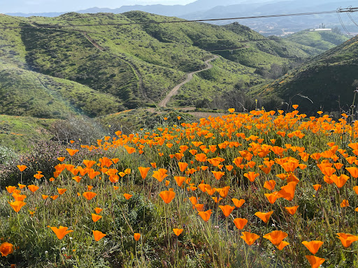 Walker Canyon Trailhead