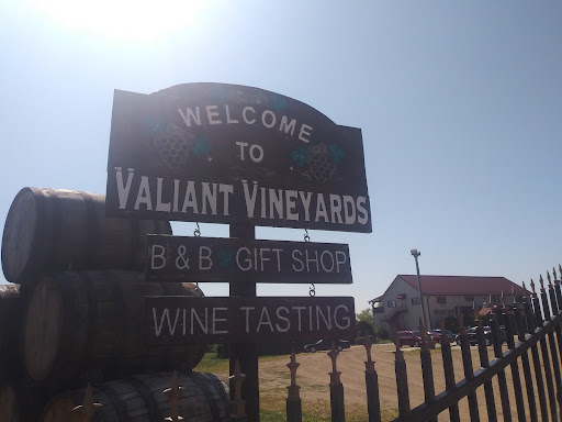 Winery «Valiant Vineyards Inc», reviews and photos, 1500 W Main St, Vermillion, SD 57069, USA