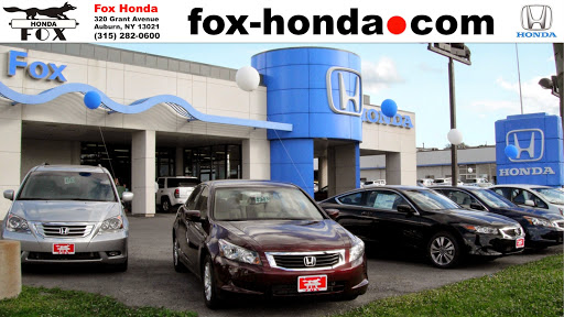 Fox Honda image 1
