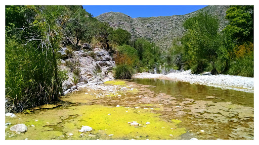 National Park «Guadalupe Mountains National Park», reviews and photos