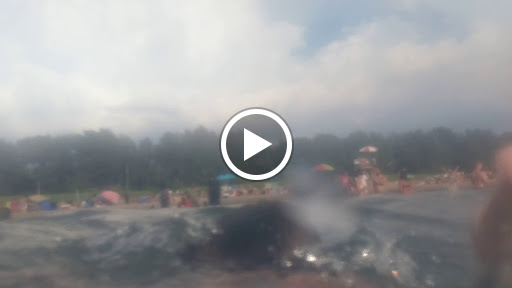 State Park «Woodlawn Beach State Park», reviews and photos, 3580 Lakeshore Rd, Blasdell, NY 14219, USA