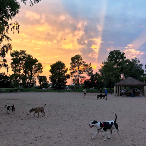 Miko's Corner Playground Dog Park