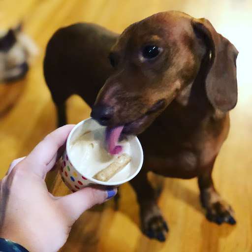 Dessert Restaurant «The Mix - Frozen Yogurt & Desserts», reviews and photos, 1803 Jerry Jones Dr, Valdosta, GA 31602, USA