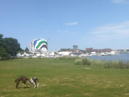 Park «Dorchester Shores Reservation Victory Road Park», reviews and photos, Victory Rd, Dorchester, MA 02122, USA