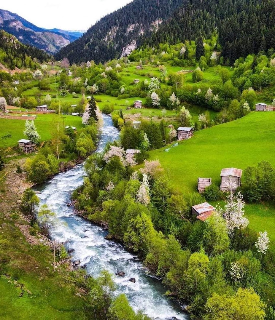 Artvin, Türkiye