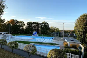 Green Tree Swimming Pool image
