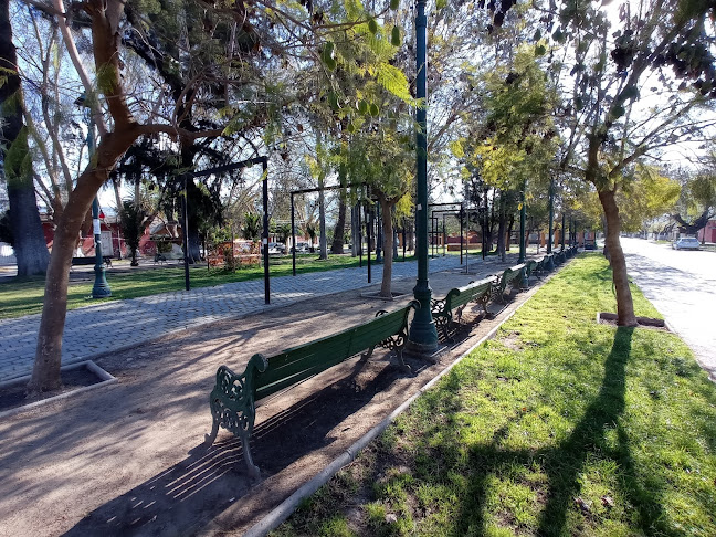 Comentarios y opiniones de Plaza Central, Isla De Maipo