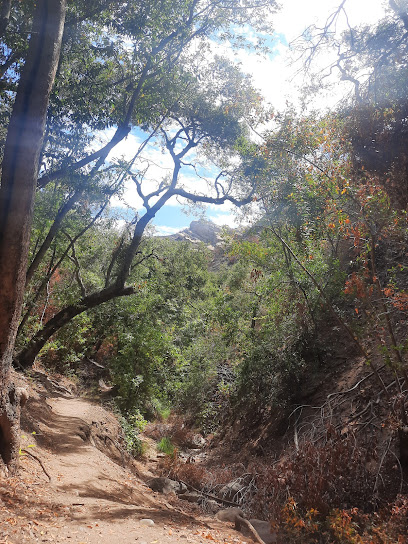 Santa Ynez/Trailer Canyon