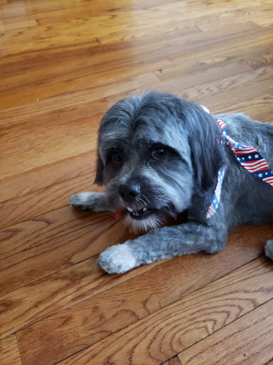 Pet Store «Animal Kingdom», reviews and photos, 436 Main St, East Orange, NJ 07018, USA