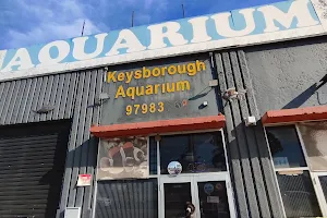 New Life Aquarium Keysborough (K1) image