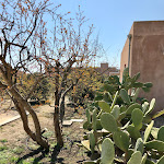 Photo n°1 de l'avis de Barbara.a fait le 11/10/2019 à 14:33 sur le  La Foresteria Planeta Estate à Contrada Passo di Gurra