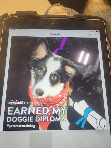 Pet Supply Store «PetSmart», reviews and photos, 1013 W University Ave, Georgetown, TX 78628, USA