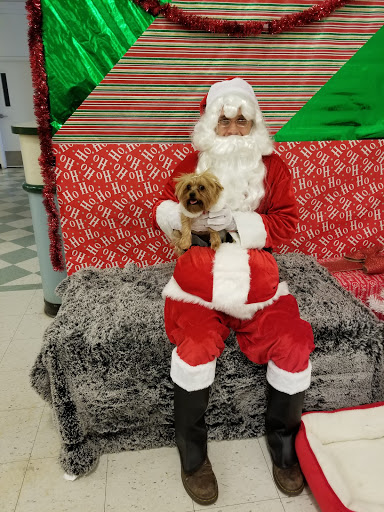 Pet Supply Store «PetSmart», reviews and photos, 5650 Mercury Dr, Dearborn, MI 48126, USA