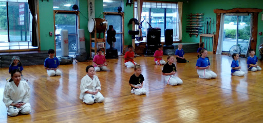 Ryu Shu Kan Japanese Martial Arts Center image 1