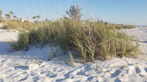 Public Beach «Pass-A-Grille Beach», reviews and photos, 113 11th Ave, Pass-A-Grille Historic District, FL 33706, USA