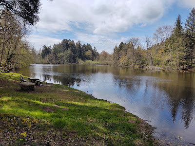 Arboretum Domanial de Pézanin à Dompierre-les-Ormes