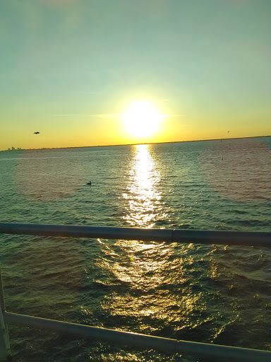 Cable Company «Bright House Networks», reviews and photos, 11401 N 56th St, Temple Terrace, FL 33617, USA