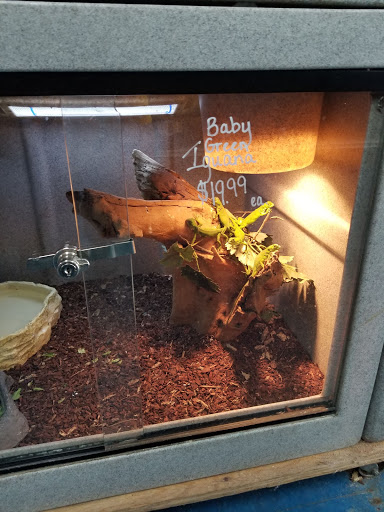 Pet Store «V.I. Pets», reviews and photos, 11975 E Lakewood Blvd, Holland, MI 49424, USA