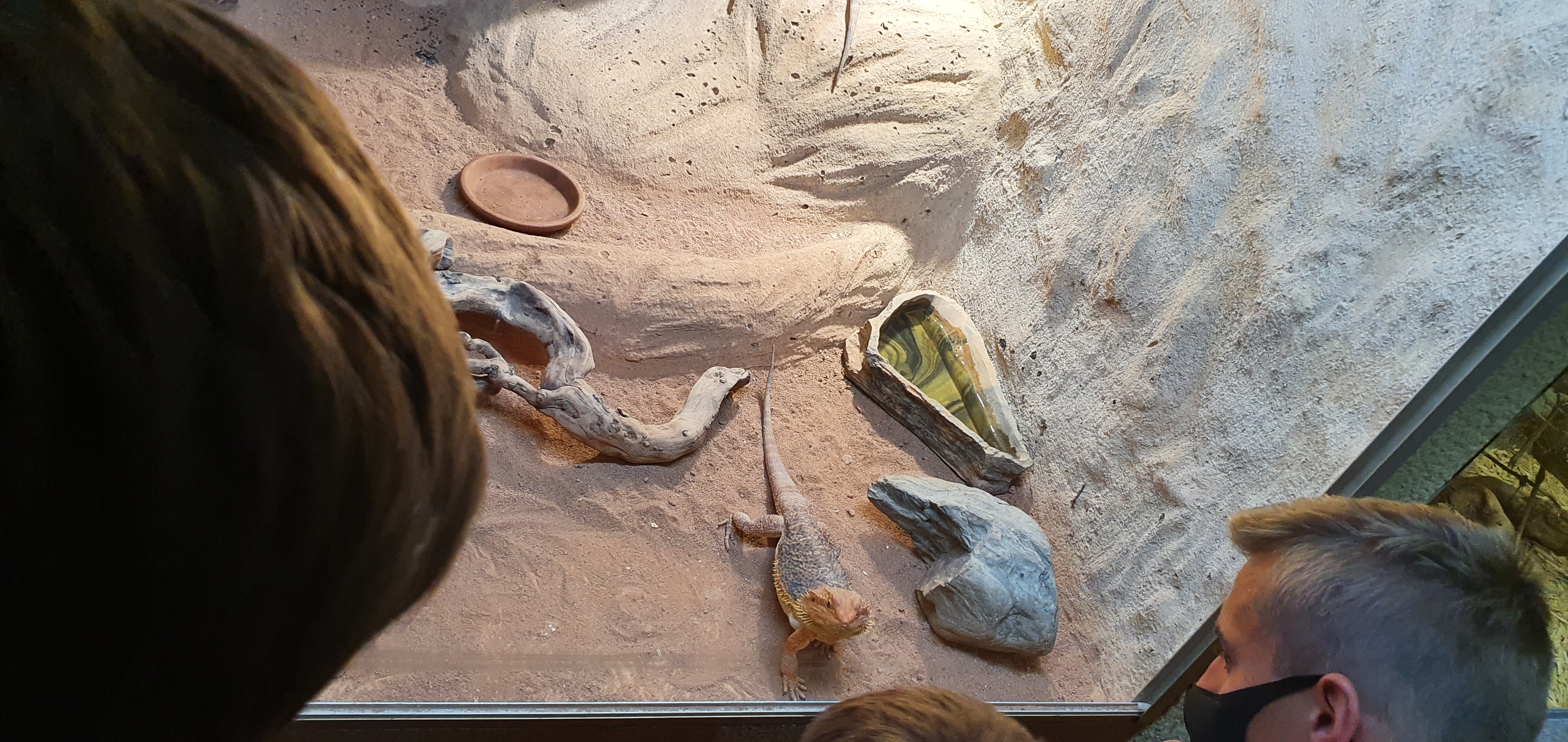 Photo n° 7 de l'avis de Laëtitia.E fait le 25/07/2020 à 00:11