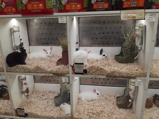 Pet Supply Store «Buckles Feed Depot & Pet Supply», reviews and photos, 220 S 4th St, Lafayette, IN 47901, USA