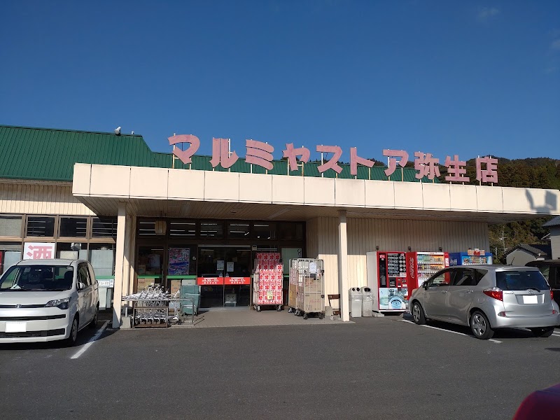 マルミヤストア 弥生店