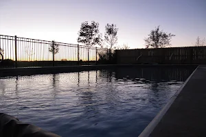 Professional Pool & Spa image