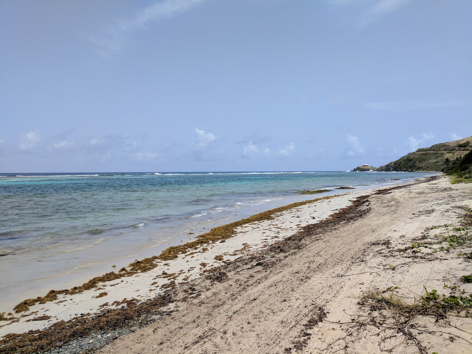 Φωτογραφία του Grapetree beach και η εγκατάσταση