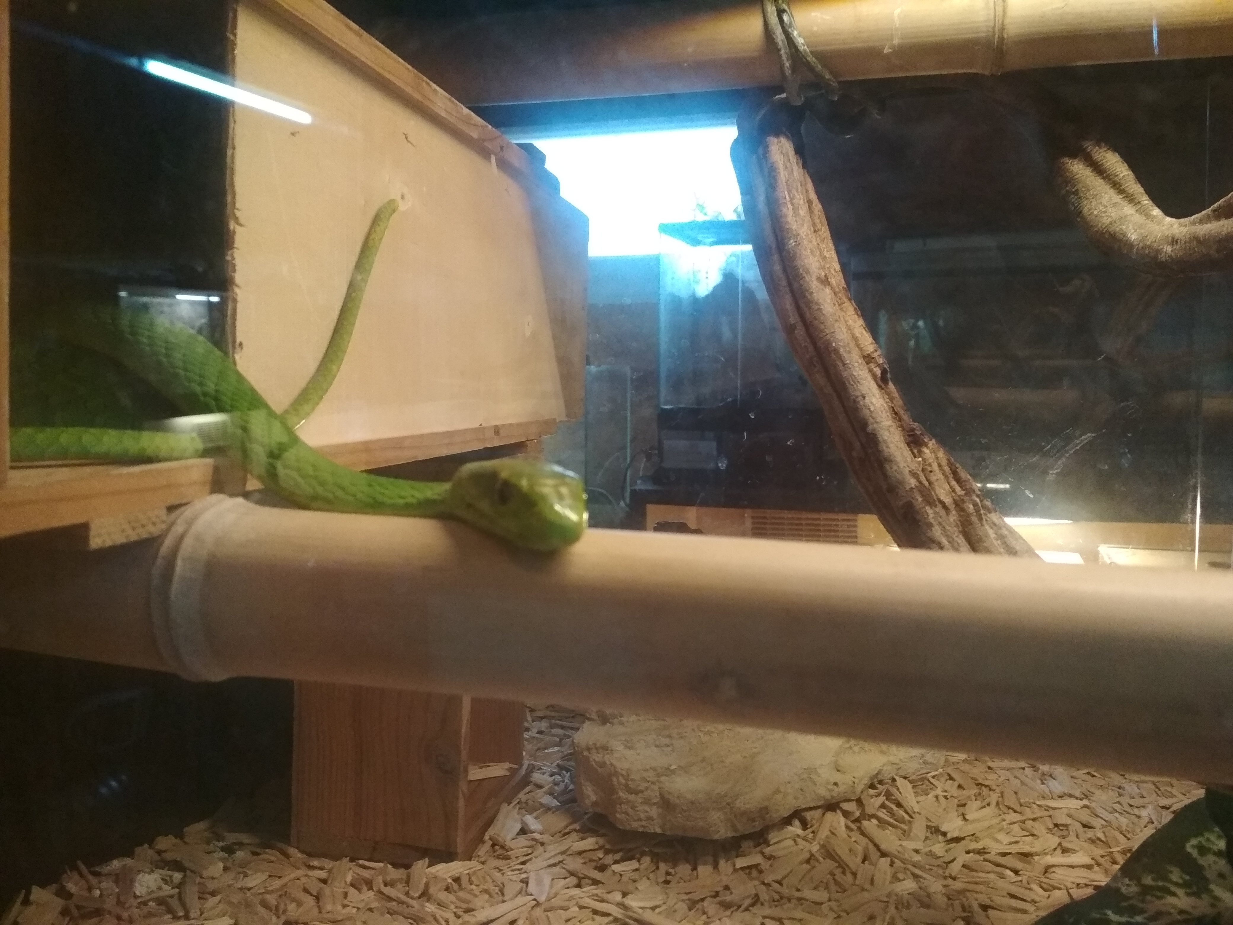 Photo n° 9 de l'avis de GpsGirl.r fait le 22/08/2020 à 12:49