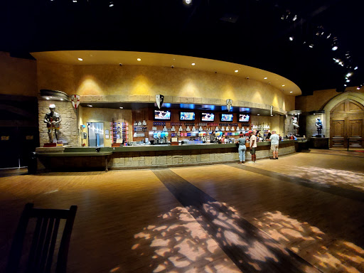 Dinner Theater «Medieval Times Dinner & Tournament», reviews and photos, 5900 Sugarloaf Pkwy #517, Lawrenceville, GA 30043, USA