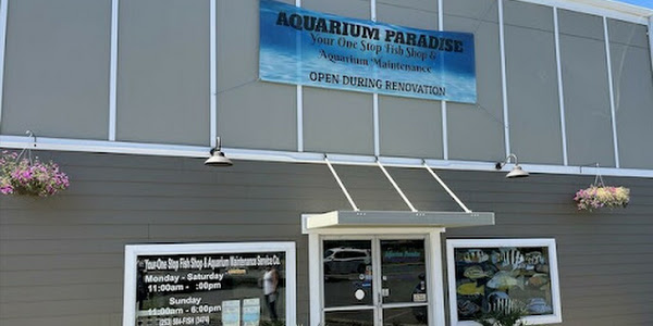 Aquarium Paradise