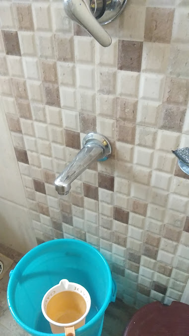 Google Maps image 15