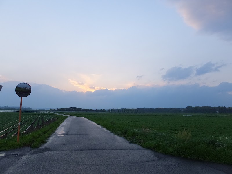 大島畠田遺跡