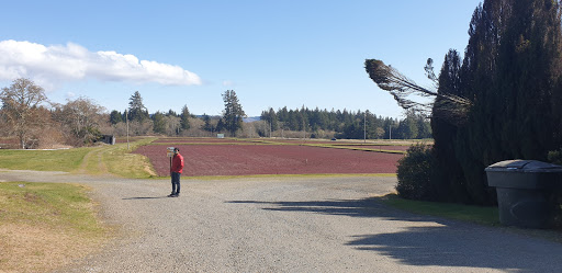 Museum «Cranberry Museum», reviews and photos, 2907 Pioneer Rd, Long Beach, WA 98631, USA