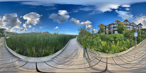 Golf Course «Mill Pond Golf Course», reviews and photos, 300 Mill Rd, Medford, NY 11763, USA