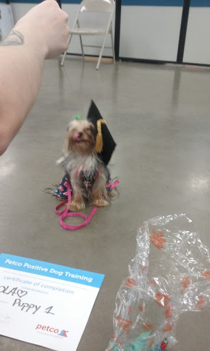 Pet Supply Store «Petco Animal Supplies», reviews and photos, 6200 S Dixie Hwy, South Miami, FL 33143, USA