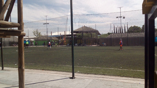 Plaza Torreón 75
