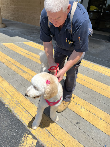 Pet Supply Store «PetSmart», reviews and photos, 1110 Hospitality Dr, Rock Hill, SC 29730, USA